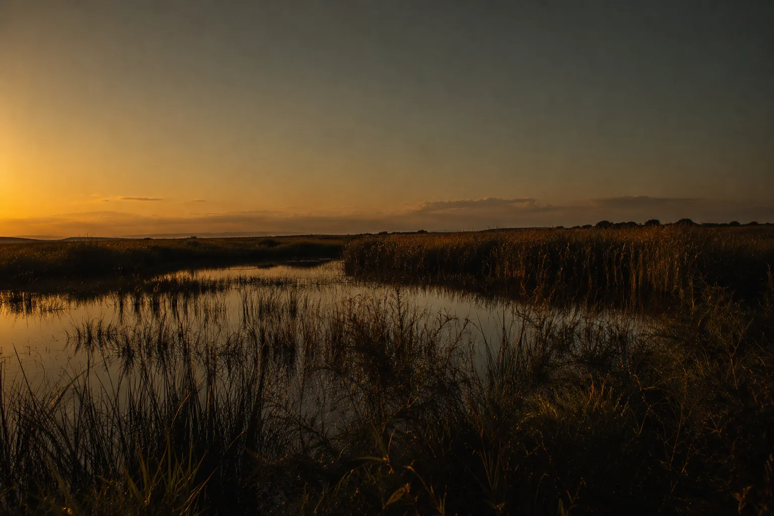 A quiet Florida landscape at golden hour