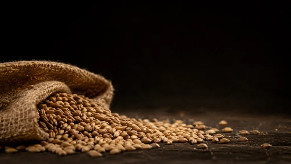 The Grain Bill